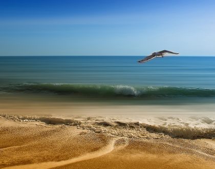 Vacature bestuurslid Internationaal